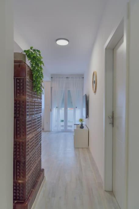 Apartman Scala Zadar Buitenkant foto